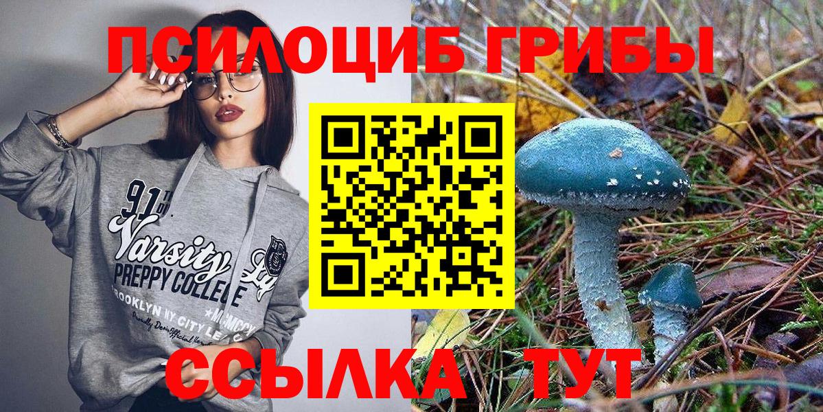 Галлюциногенные грибы Psilocybe Можга