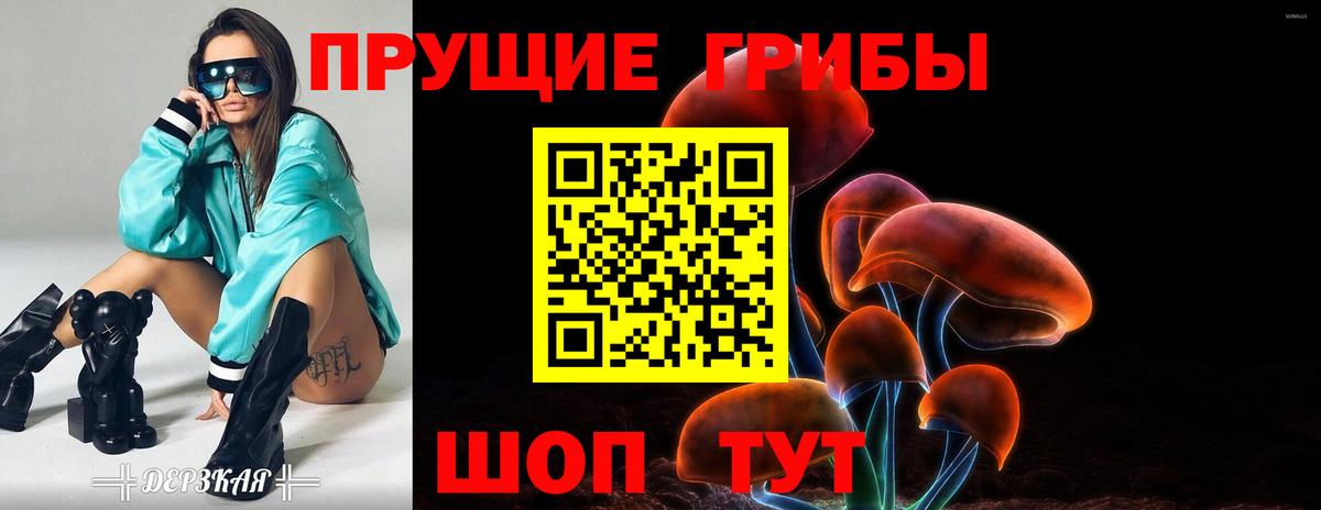 Псилоцибиновые грибы GOLDEN TEACHER  Вход с VPN  Галлюциногенные грибы GOLDEN TEACHER  Можга 