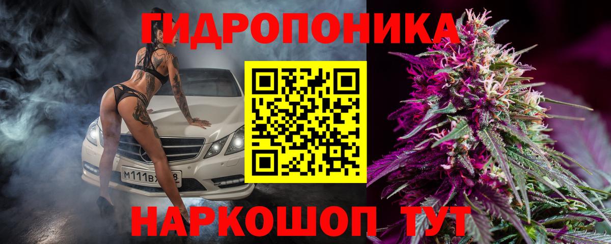 Марихуана White Widow  Вход с VPN  Канабис конопля  Марихуана конопля  Можга 